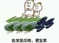 批发茄瓜啦，便宜卖啦