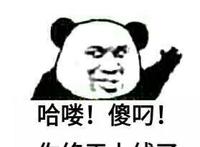 哈喽傻吊，你终于上线了