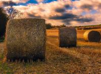 田野滚柱草垛秋收图片