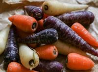 红萝卜和紫萝卜图片