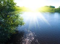 早晨耀眼的阳光映射在水面上