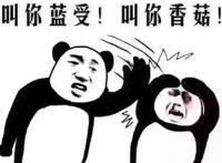 叫你蓝瘦，叫你香菇