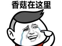 蓝瘦香菇在这哩