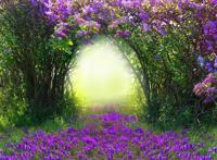 紫色花藤拱形门唯美浪漫图片