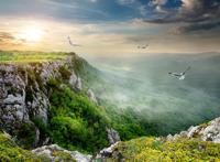 展开翅膀的鸟儿在山顶盘旋