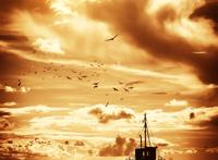 晚霞大海帆船海鸟图片