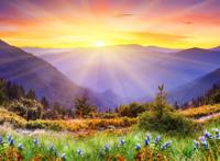 小草静态下的日出山头图片