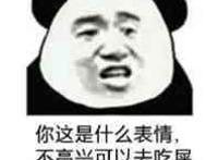 你这是什么表情不高兴可以去吃屎