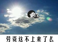 劳资这不是上来了么