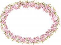 粉色花圈素材图片