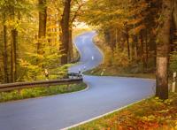 深秋山林中中弯曲的公路