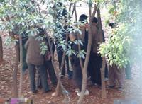 老人光几几雄起图片 树林老头老太野史