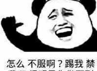 怎么不服啊，踢我，禁我啊，很明显你做不到