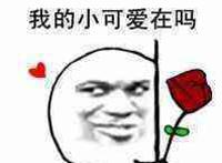 我的小可爱在吗
