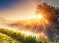 农村田里小溪旁日出唯美图片