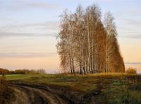 乡村小路远处的白杨树林图片