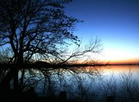 湖边大树远望落日美景图片
