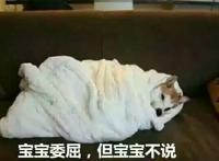 宝宝委屈，但宝宝不说