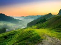 平缓的绿色山坡图片