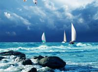 蓝色大海岸边礁石帆船海鸥唯美图片