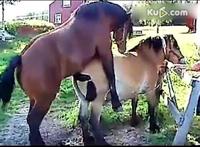 马日马视频一小时 马日200公斤女人视频