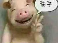 群主笑一个,茄子 群主笑一个,茄子