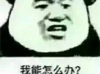 我能怎么办，我也很绝望啊