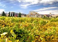 被树木包围的绿色小镇图片