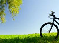 嫩柳单车草地图片