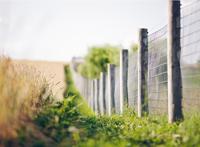 野外气息的围栏唯美图片