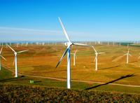 一大片风车群壮观图片