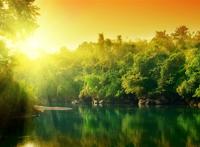 被绿色植被包围的湖面阳光图片