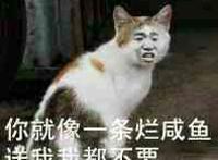 你就像一条咸鱼 送我我都不要