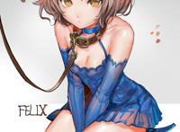 反叛的鲁路修米蕾本子