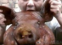 吃整个猪头肉动态图