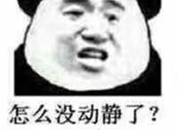 怎么没动静了 死了吗
