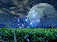 坐在茂盛的草坪眺望远处的城市星光图片