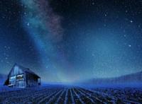 夜晚在薰衣草花海里面一座孤零零的草屋