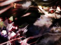 韩国漫画舞蹈室镜子h