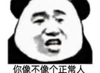 你像不像个正常人 你自己想想