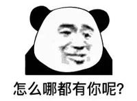 怎么哪都有你呢