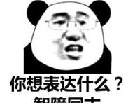 你想表达什么？智障同志