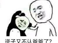 逆子又不认爸爸了 逆子又不认爸爸了