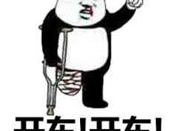 开车开车表情 开车开车表情