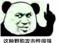 这种野狗攻击性很强