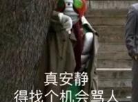 真安静得找个机会骂人表情