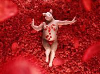 猪头人身的抽象图片