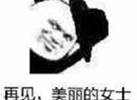 再见 美丽的女士