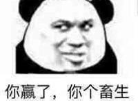 你赢了 你个畜生