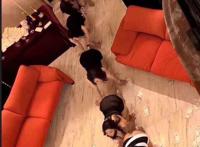 人体蜈蚣真人版美女 人体蜈蚣真人版美女